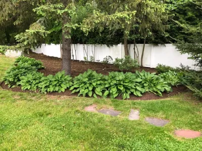 Maple Tree Landscape - Landscape Construction in Wayland, MA