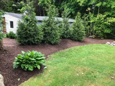 Maple Tree Landscape - Landscape Construction in Wayland, MA