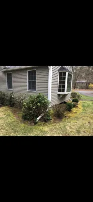 Maple Tree Landscape - Landscape Construction in Wayland, MA