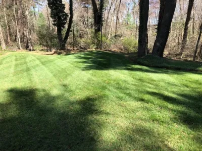 Wayland 3 — Landscape Construction project by Maple Tree Landscape