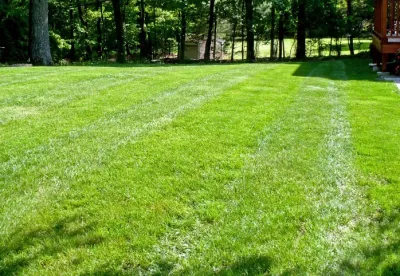 JD Organic Landscape LLC - Landscape Construction in Scotch Plains, NJ