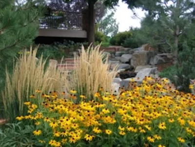 MDC Landscape, LLC - Landscape Construction in Littleton, CO