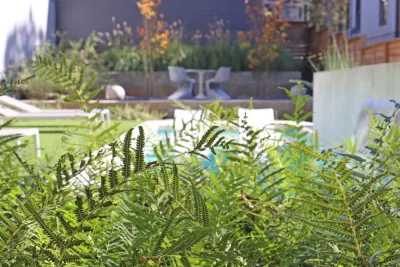 Modern city home by City Garden Company