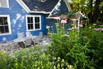Rain Gardens & Native Plants by City Garden Company