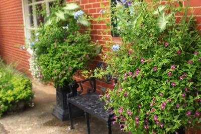 Container Gardening — Landscape Design project by City Garden Company in Athens