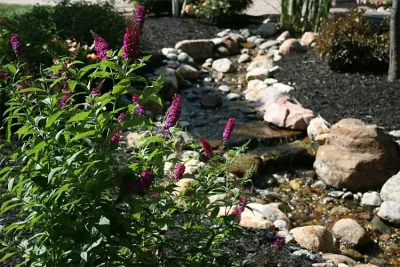 Next to Nature Landscape - Landscape Construction in Olathe, KS