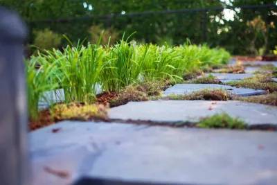 Clement Walsh Landscape Architect, Inc. - Garden Remodeling in West Linn, OR