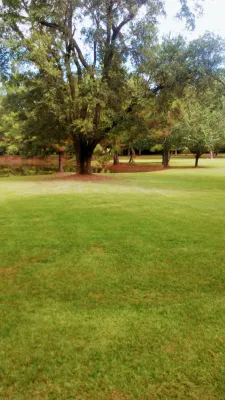 Lawn and landscape maintenance — Landscape Construction project by Nola Landworks
