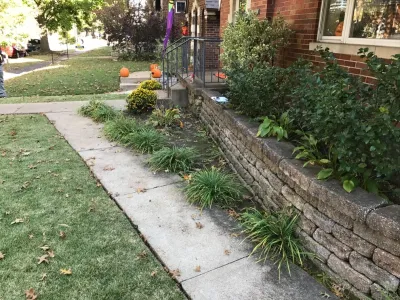 Clipper Tree & Landscape - Garden Remodeling in Saint Louis, MO