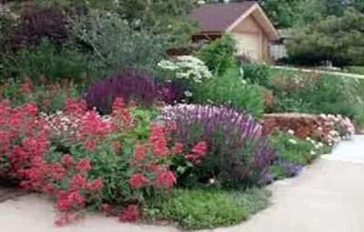 OakTree Landscape - Landscape Construction in Albuquerque, NM