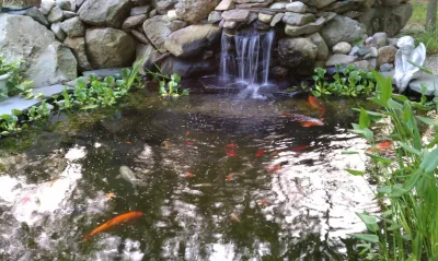 Water Features — Landscape Construction project by Oasis Outdoor Living LLC