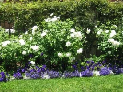 Omar's Landscaping - Landscape Construction in Naperville, IL
