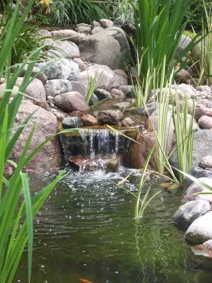 CMS Landscapes - Garden Remodeling in Downers Grove, IL