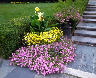 Annuals — Landscape Design project by Coastal Concepts
