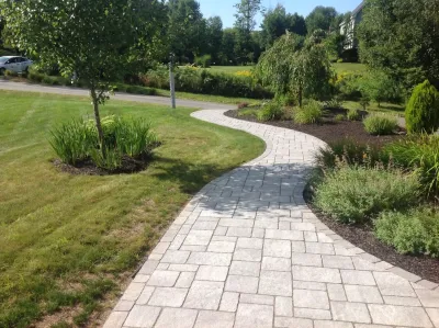 Coastal Inc. - Tree Planting & Transplanting in Cumberland, KY