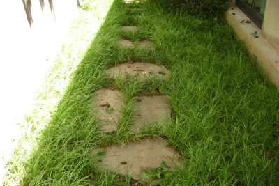 Cody Landscape - Landscape Maintenance in Fort Worth, TX