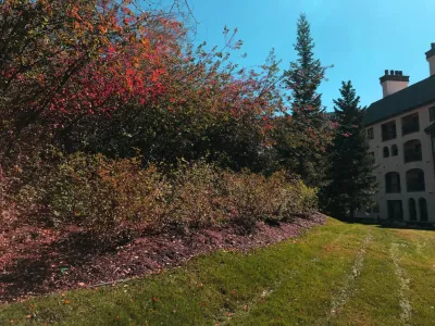 Colorado Land Art Studio, Inc. - Garden Remodeling in Eagle, CO