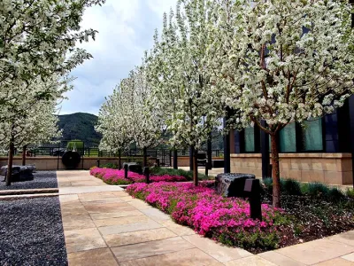 Colorado Land Art Studio, Inc. - Garden Remodeling in Eagle, CO