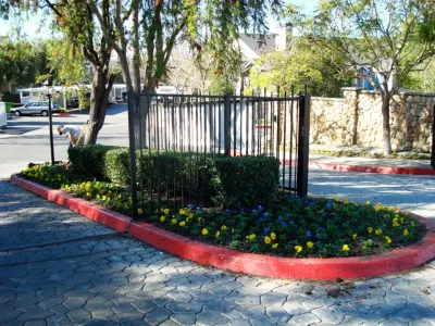 Pacific Coast Landscape - Landscape Construction in Riverside, CA