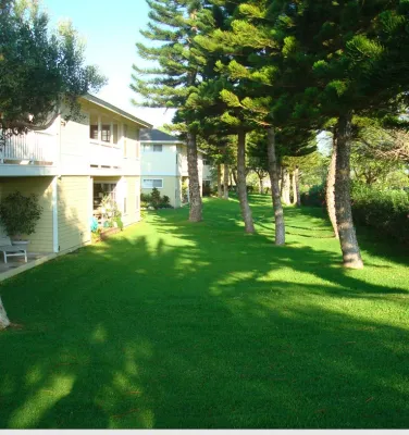 Pacific Coast Landscape - Landscape Construction in Riverside, CA