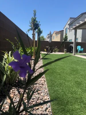 Pacific Landscape - Landscape Construction in Las Vegas, NV