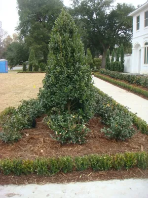 Palm Garden Depot - Landscape Construction in Harahan, LA