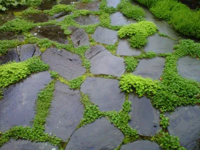 Parterre Garden Services - Landscape Construction in Cambridge, MA