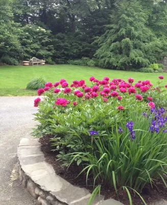 Parterre Garden Services - Landscape Construction in Cambridge, MA