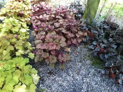 Patel Landscaping - Landscape Construction in Medfield, MA