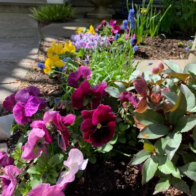 Columbine Fine Landscape Gardening and Design - Garden Remodeling in Norwalk, CT