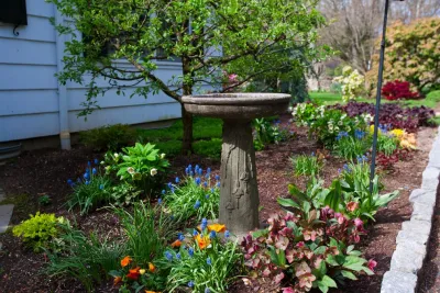 Columbine Fine Landscape Gardening and Design - Garden Remodeling in Norwalk, CT