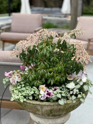Columbine Fine Landscape Gardening and Design - Garden Remodeling in Norwalk, CT