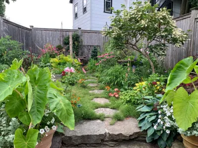 Columbine Fine Landscape Gardening and Design - Garden Remodeling in Norwalk, CT