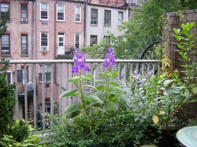 Columbine Fine Landscape Gardening and Design - Garden Remodeling in Norwalk, CT