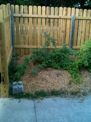 Perfect T Landscaping, LLC - Landscape Construction in Kansas City, MO