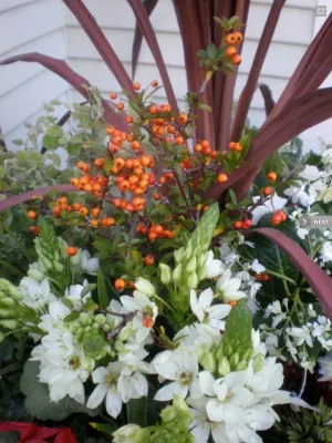 Combs Landscape Design - Garden Remodeling in Douglas, MI