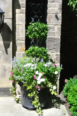 Planters — Landscape Design project by New Vista Enterprises