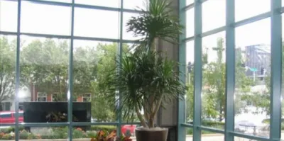 Plant Professor - Landscape Construction in Saint Louis, MO