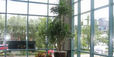 Plant Professor - Landscape Construction in Saint Louis, MO
