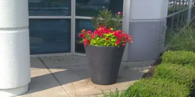 Plant Professor - Landscape Construction in Saint Louis, MO
