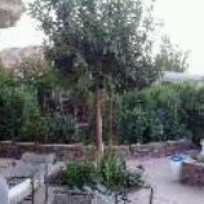 Plant Wise Landscaping - Landscape Construction in Las Vegas, NV