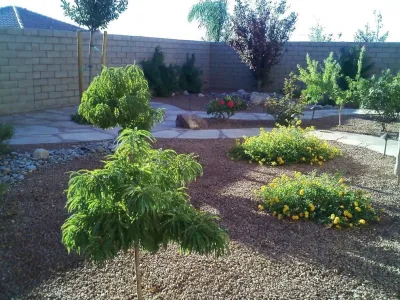 Plant Wise Landscaping - Landscape Construction in Las Vegas, NV