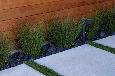 Contexto Landscape - Garden Remodeling in San Jose, CA