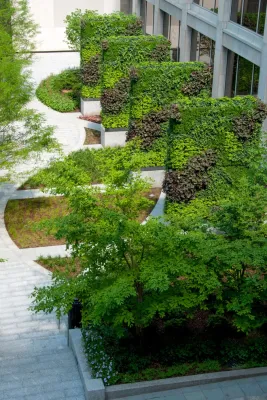 Copley Wolff Design Group - Landscape Design in Boston, MA