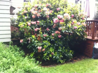 Precision Landscape & Excavation - Landscape Construction in Scarborough, ME