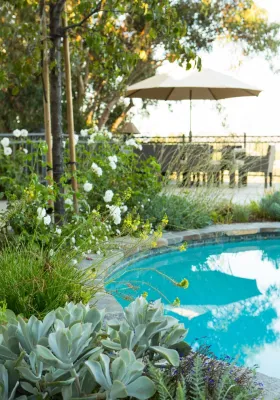 Gregory Davis & Associates - Landscape Design in Los Angeles, CA