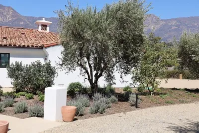 Progressive Environmental Industries, Inc. - Landscape Construction in Santa Barbara, CA