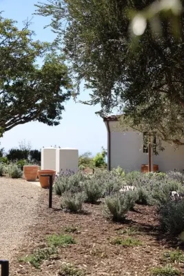 Progressive Environmental Industries, Inc. - Landscape Construction in Santa Barbara, CA