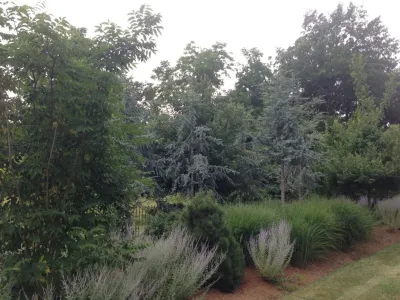 ProLawn Kansas City LLC - Landscape Construction in Liberty, MO