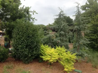 ProLawn Kansas City LLC - Landscape Construction in Liberty, MO